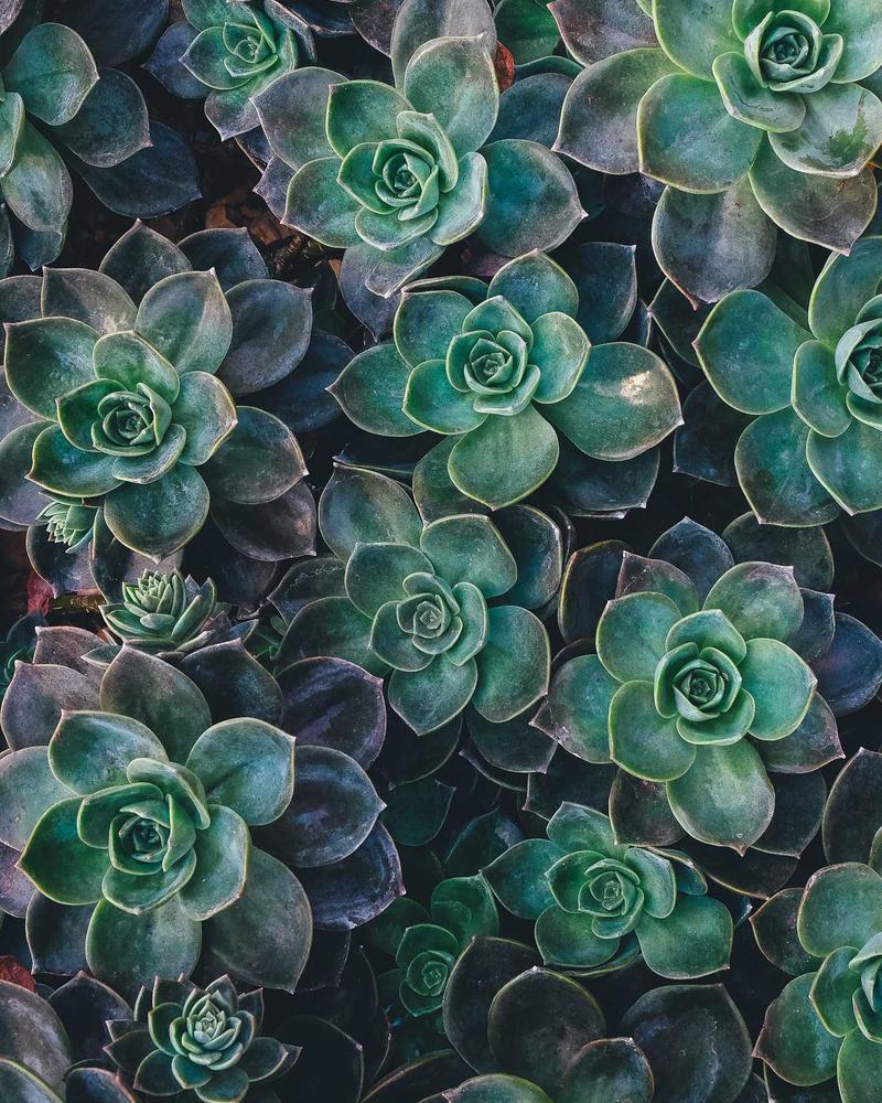 Produtos cosméticos naturais e artesanais
